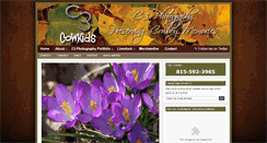 Desktop Screenshot of cowkids.com
